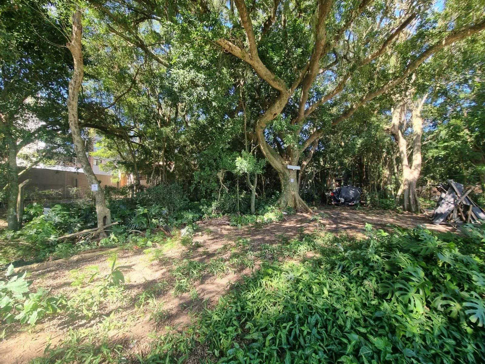 Imagem Terreno na Beira de Ipanema com 972m²
