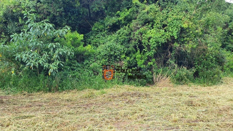 Imagem Área à venda, 40000 m² por R$ 1.300.000,00 - Caetetuba - Atibaia/SP