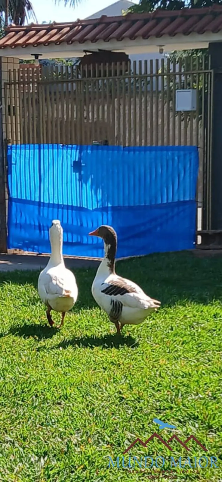 Imagem Refúgio de Paz em Panorama-SPCasa com RioChurrasqueira e Garagem C/Permuta