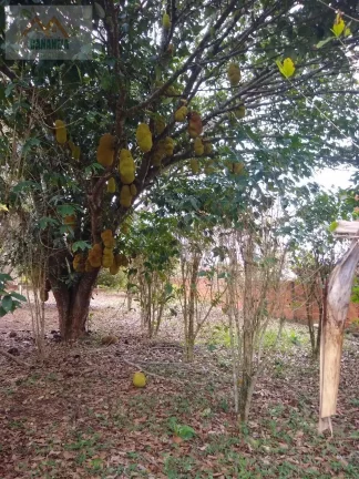 Imagem CHÁCARA JARDIM CANANÉIA PILAR DO SUL