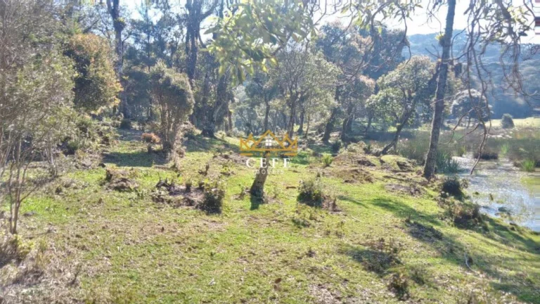 Imagem Chácara - Sítio com 1 Dormitorio(s) localizado(a) no bairro Ribeirão em São Francisco de Paula / RIO GRANDE DO SUL Ref.:1535