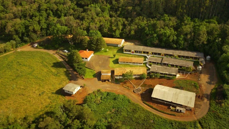 Imagem Granja para Venda em Concórdia, Rural