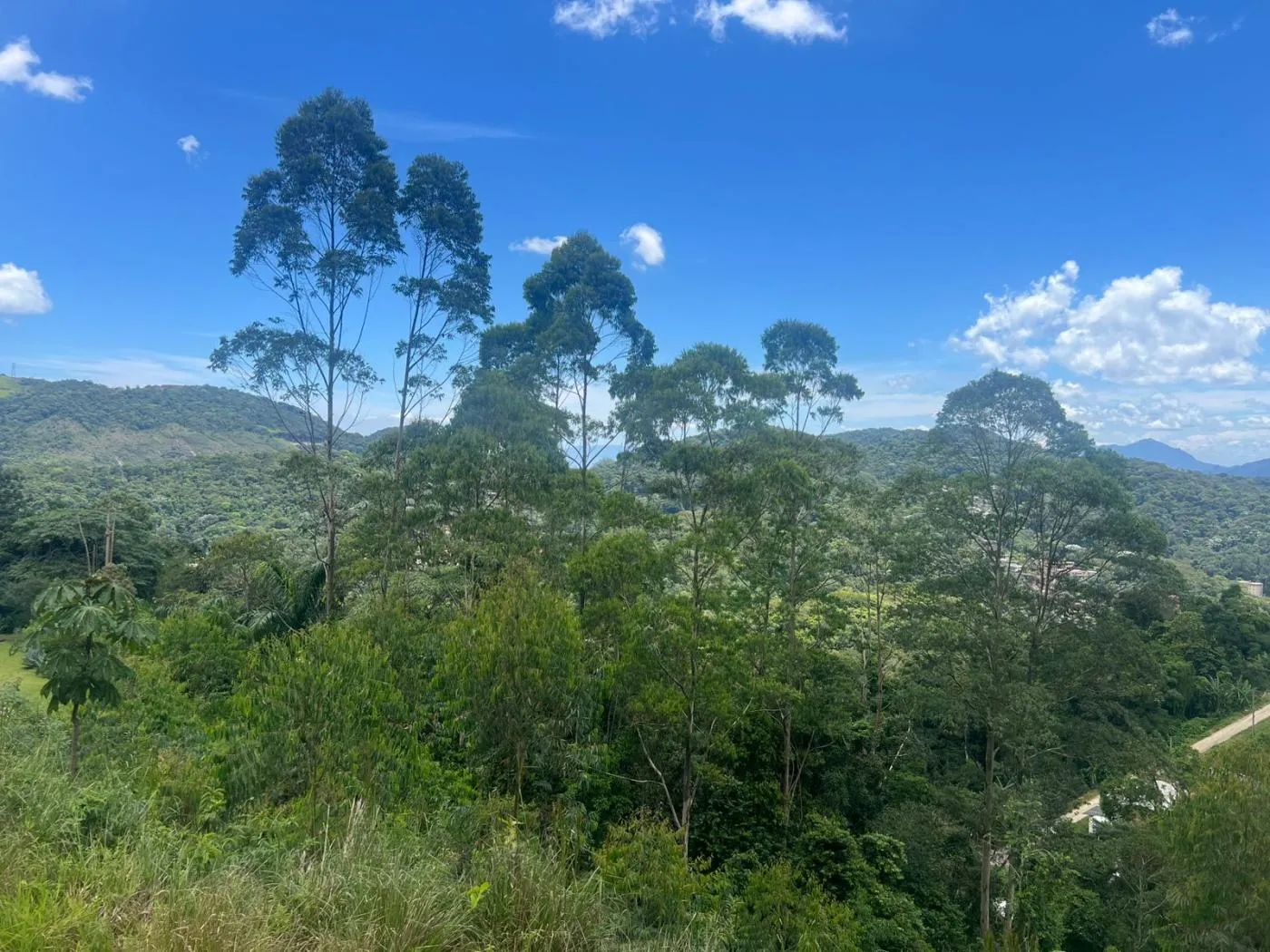 Imagem Terreno em Condomínio para Venda em Petrópolis / RJ no bairro Quarteirão Ingelheim