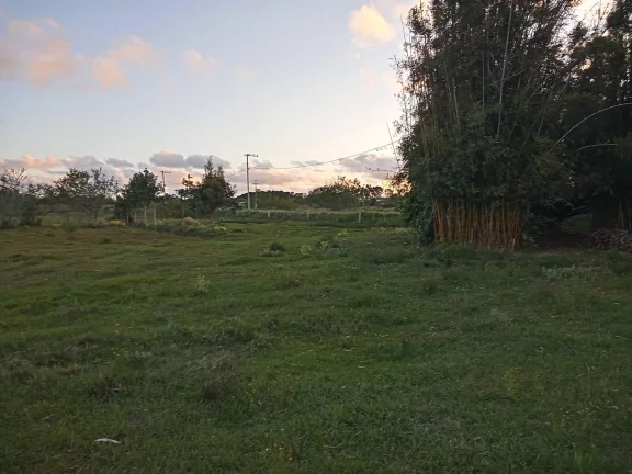 Imagem Linda área com 2 Ha., Casa, Galpão, Lavouras e Açudes, Águas Claras, Viamão