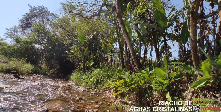 Imagem Terreno para a sítio, em Salto do Major Gercino SC. Com área plana, com terra boa de plantio. Tem mais de 30 metros um lindo RIACHO nos fundos, com ág