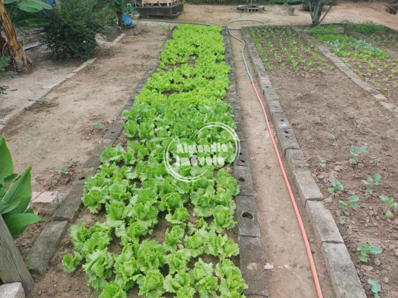 Imagem Chácara com 3 Quartos à Venda, Locação ou Temporada, 2.600 m² em Agrovila CAIC - Porto Feliz