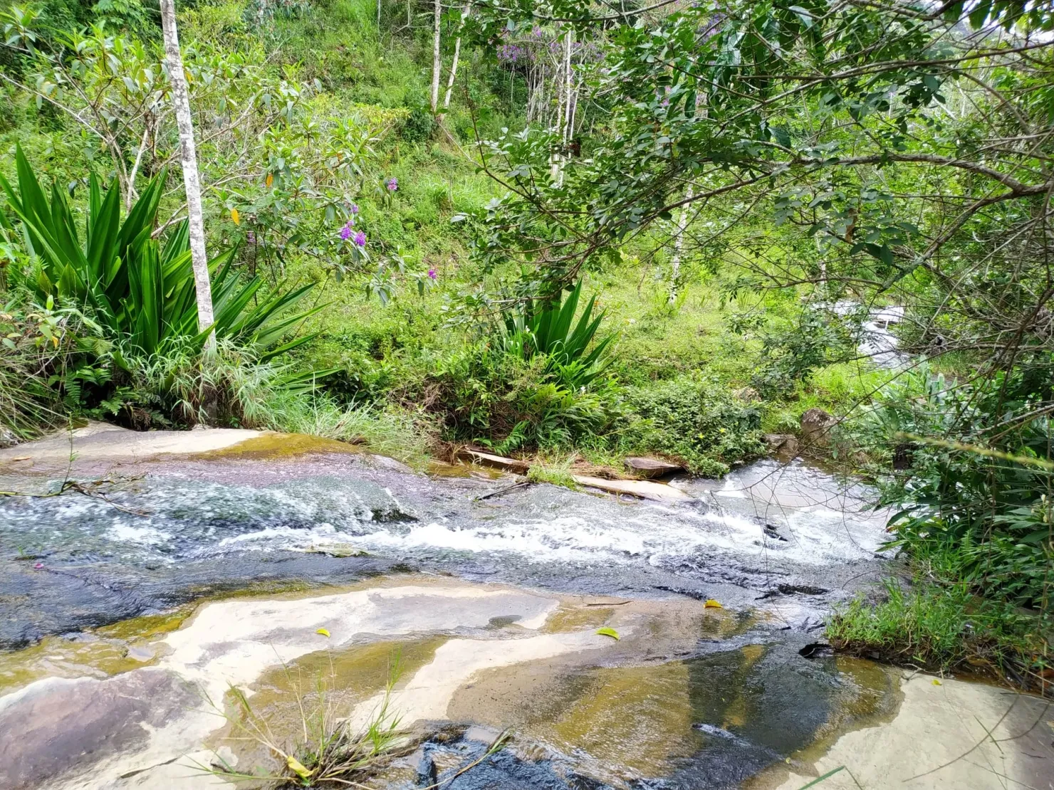Imagem Chácara à venda 76000M², Ribeirão Grande, Pindamonhangaba - SP
