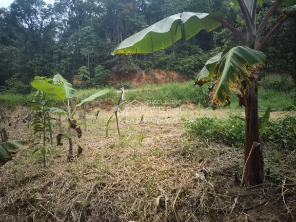 Imagem VENHA CONHECER O PARAÍSO NOVA TRENTINO! SÍTIO RECANDO DA ESPERANÇA Você está em busca de um refúgio tranquilo, próximo à natureza