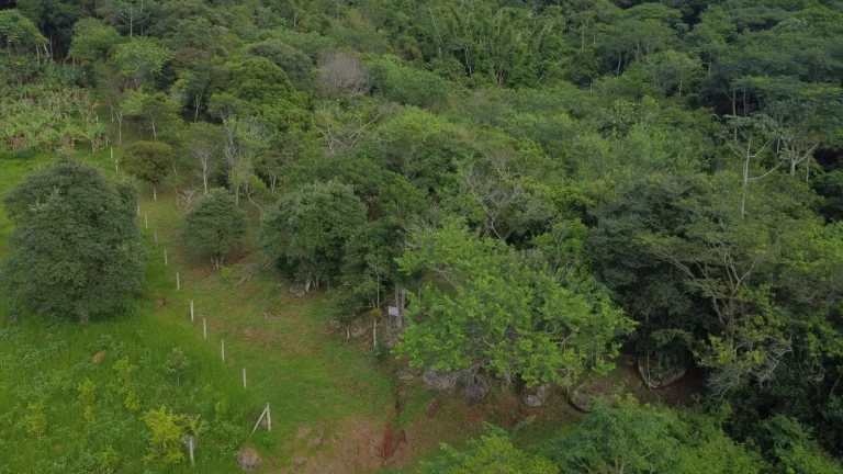 Imagem Terreno com Vista Panorâmica para o Mar à Venda no Bairro Macacu - Garopaba-SC