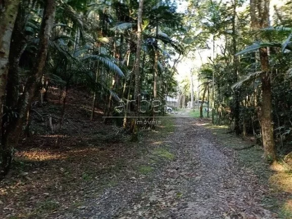 Imagem Sitio com duas casas, a primeira casa de tijolinho tem janelas de alumínio, churrasqueira, varanda ...