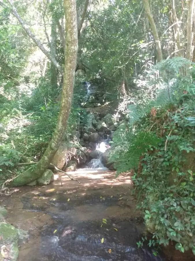 Imagem Chácara para venda, bairro Voluntário Baixo em Igrejinha/RS.