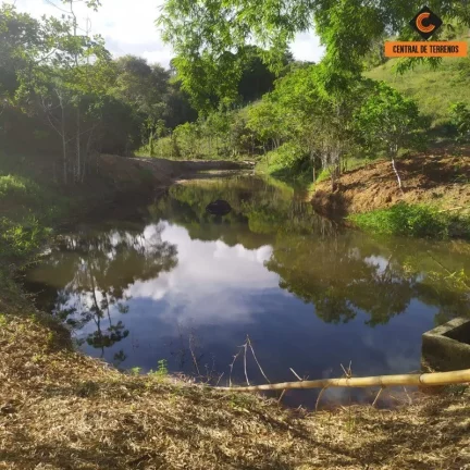 Imagem FAZENDA EM MATA DE SÃO JOÃO