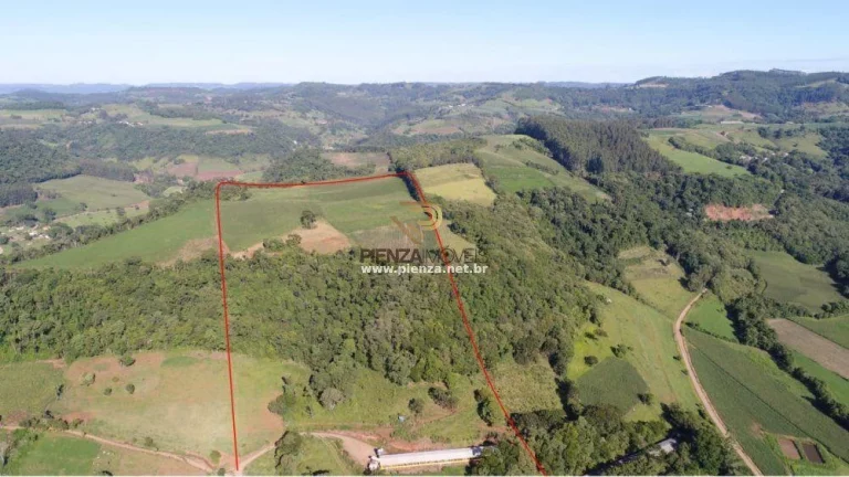 Imagem Área Agrícola para Venda em Lindóia do Sul, Rural