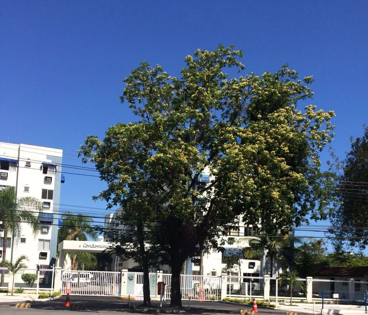 Imagem Apartamento à venda no bairro Jacarepaguá em Rio de Janeiro/RJ