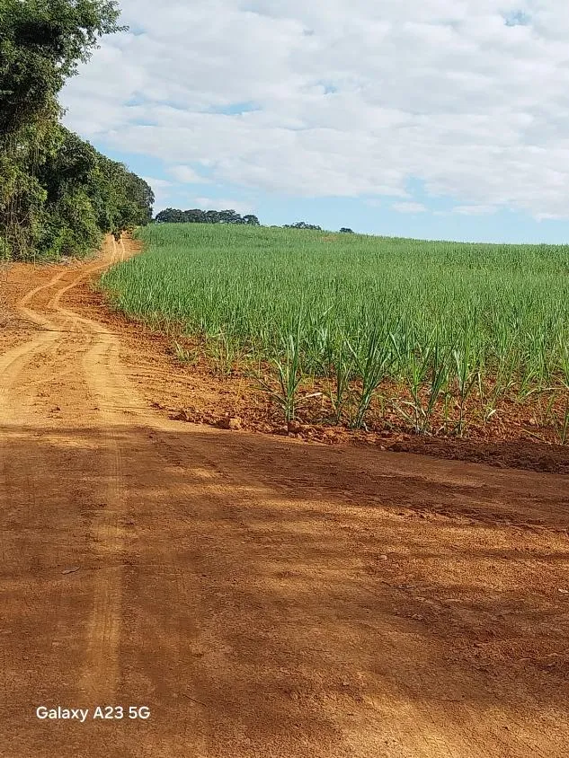 Imagem Vendo excelente fazenda em Lagoa da Prata/MG 376 hectares de terra