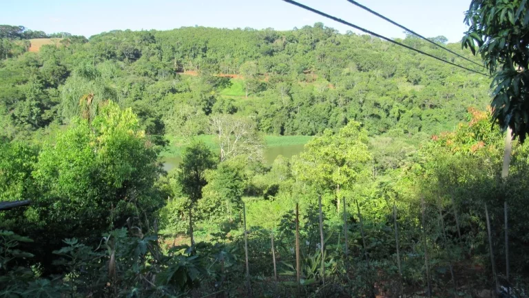 Foto do imóvel Sítio / Chácara para Venda em Concórdia, Rural, 3 dormitórios, 1 banheiro em Rancho Grande