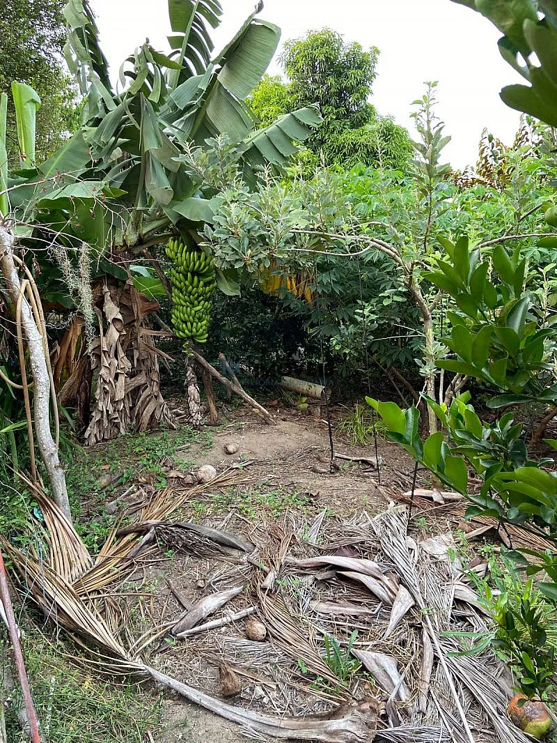 Imagem Terreno a Venda no bairro Inoã - Maricá, RJ