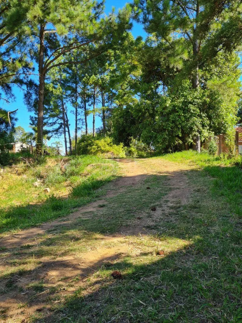 Imagem Terreno para Venda - 0m², 0 dormitórios, Vila Nova