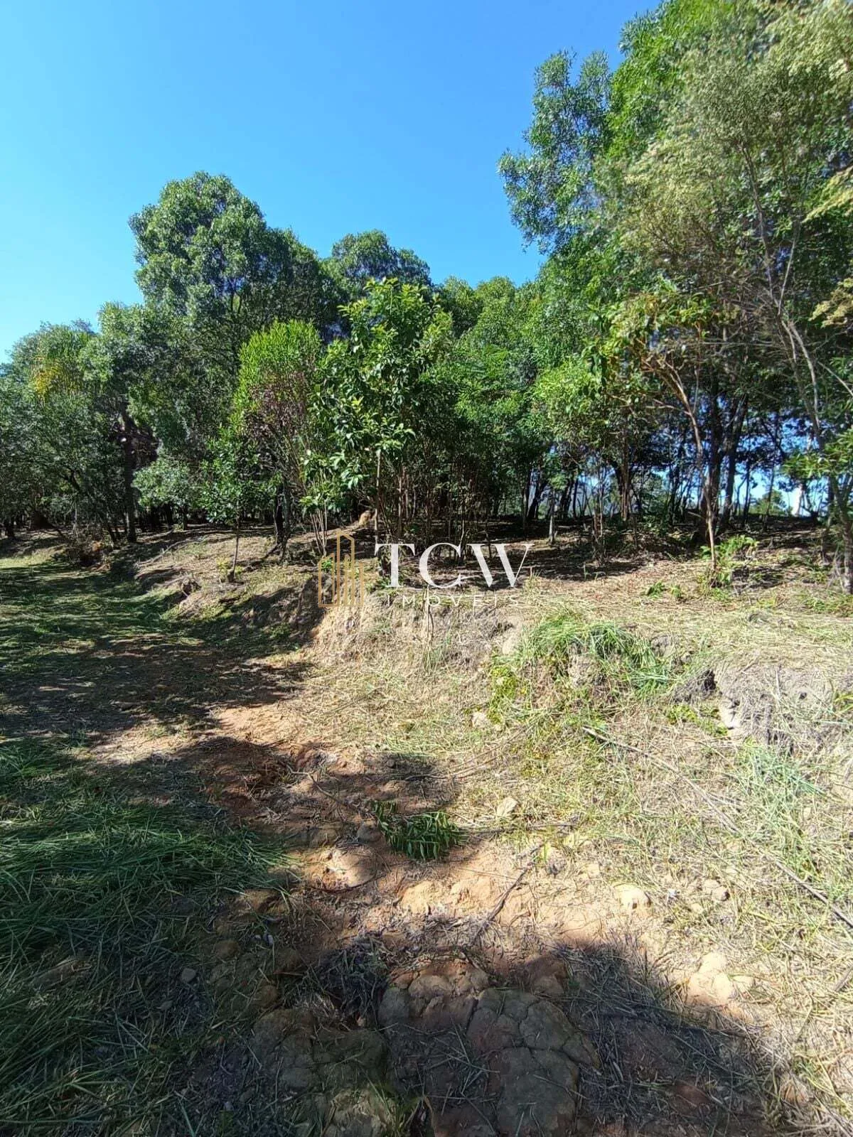 Imagem Terreno em Loteamento | 20.000m2 | ATIBAIA/SP