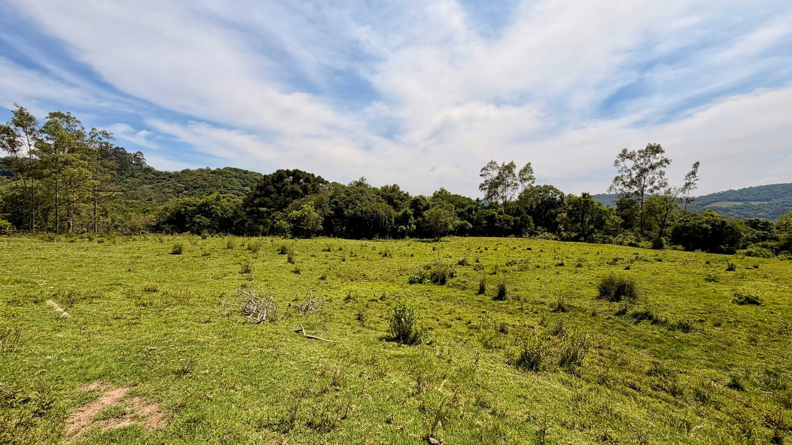 Chácara à venda em Caxias do Sul, Centro, 20000m2