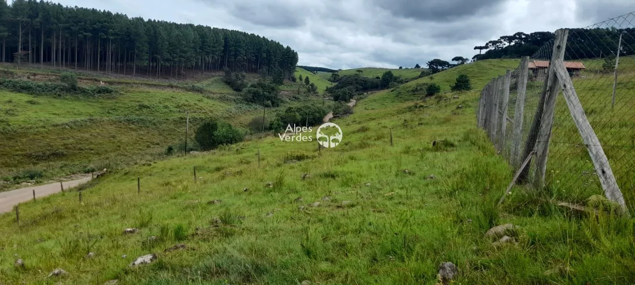 Imagem Terreno á venda por R$ 100.000,00 - Vila Eletra, São Francisco de Paula/RS