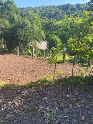 Imagem Área para Venda em Cordilheira Alta, Interior, 3 dormitórios, 1 banheiro, 2 vagas