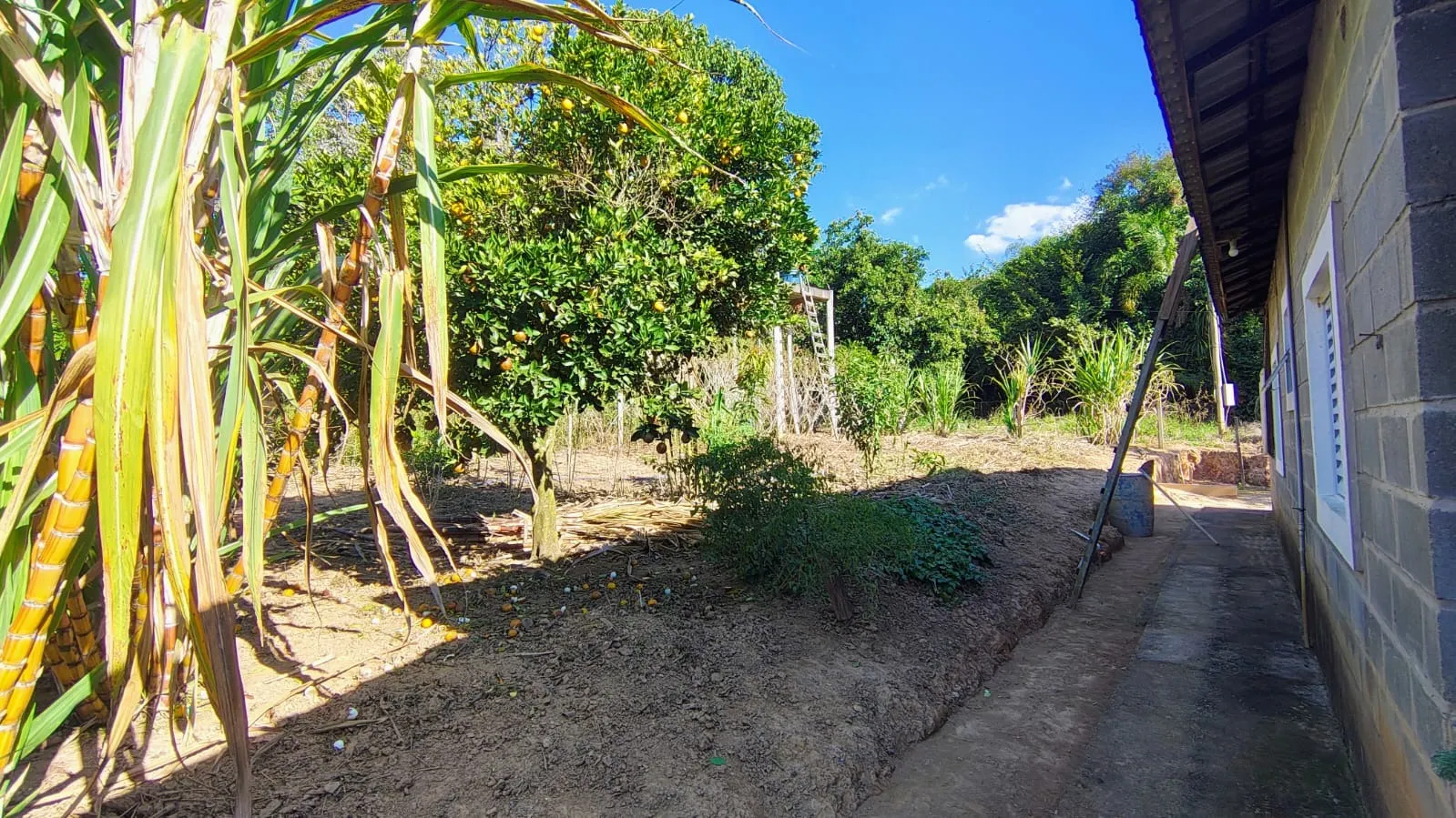 Imagem Chácara em Piedade com 1.000m² Recanto da Paz