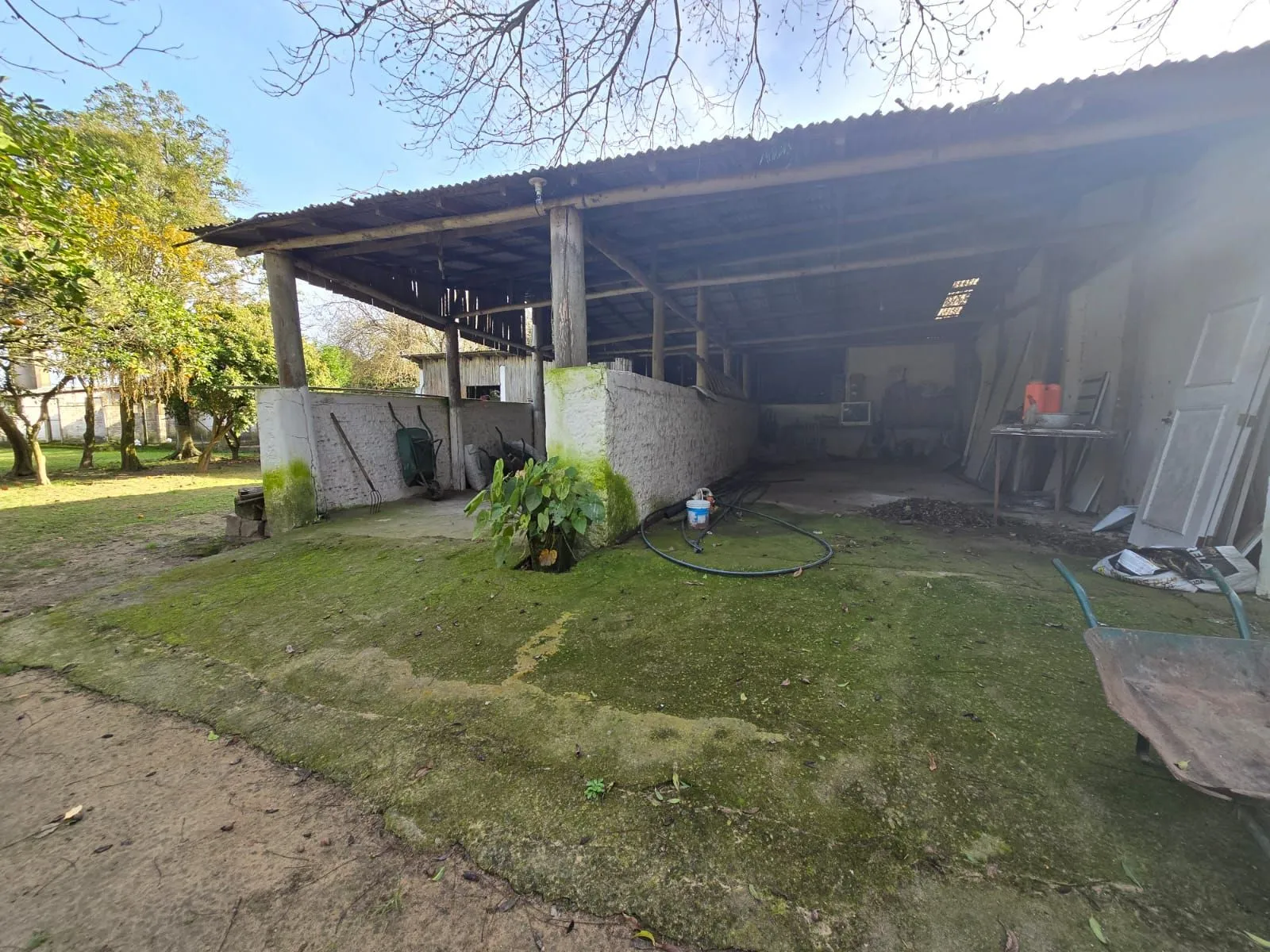Imagem Sitio na Restinga com 2 casas e ótima oportunidade para investimento
