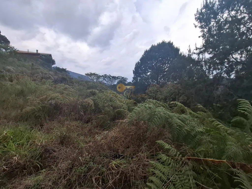 Imagem Terreno em Condomínio para Venda em Teresópolis / RJ no bairro Albuquerque