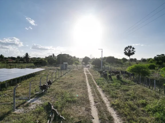 Imagem Fazenda para Venda em Pendências, RN 404 cidade do Rio Grande do Norte.