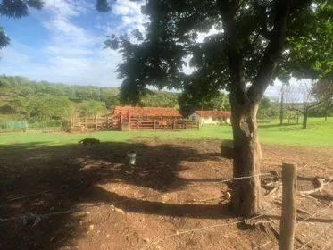Imagem Excelente Fazenda em Funilândia/MG 112 hectares de terra