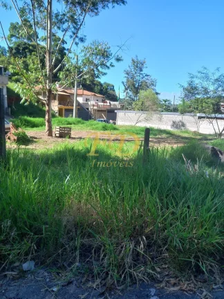 Imagem Terreno em Terra Preta/ Jardim Pereira