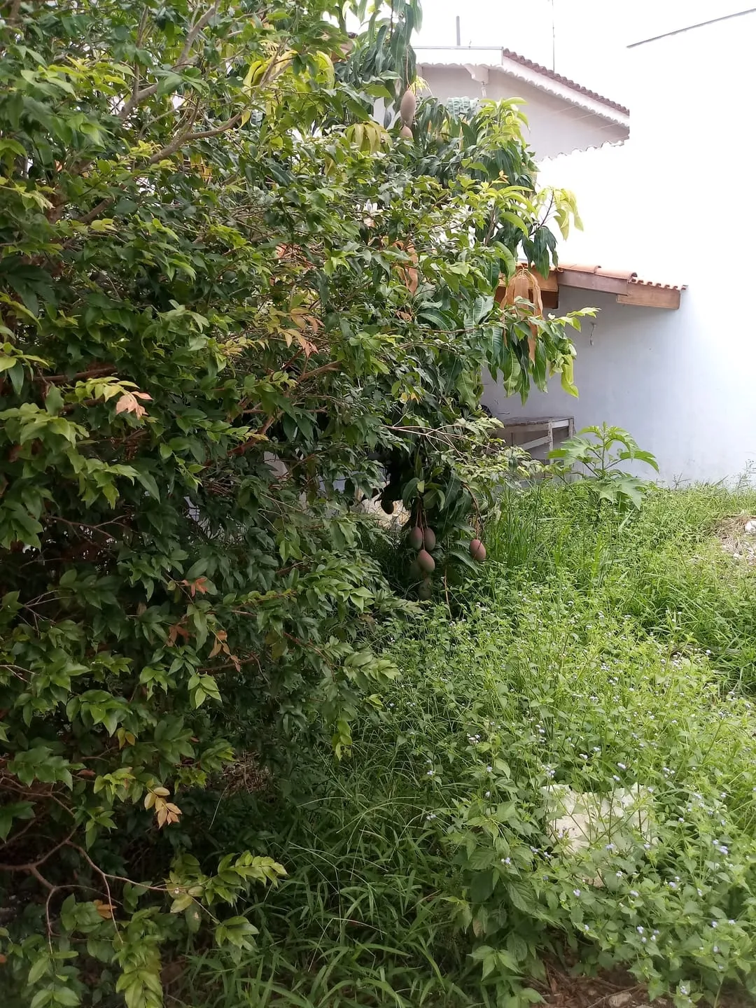 Imagem Casa à venda 3 Quartos, 1 Suite, 2 Vagas, 250M², Vila Suiça, Pindamonhangaba - SP