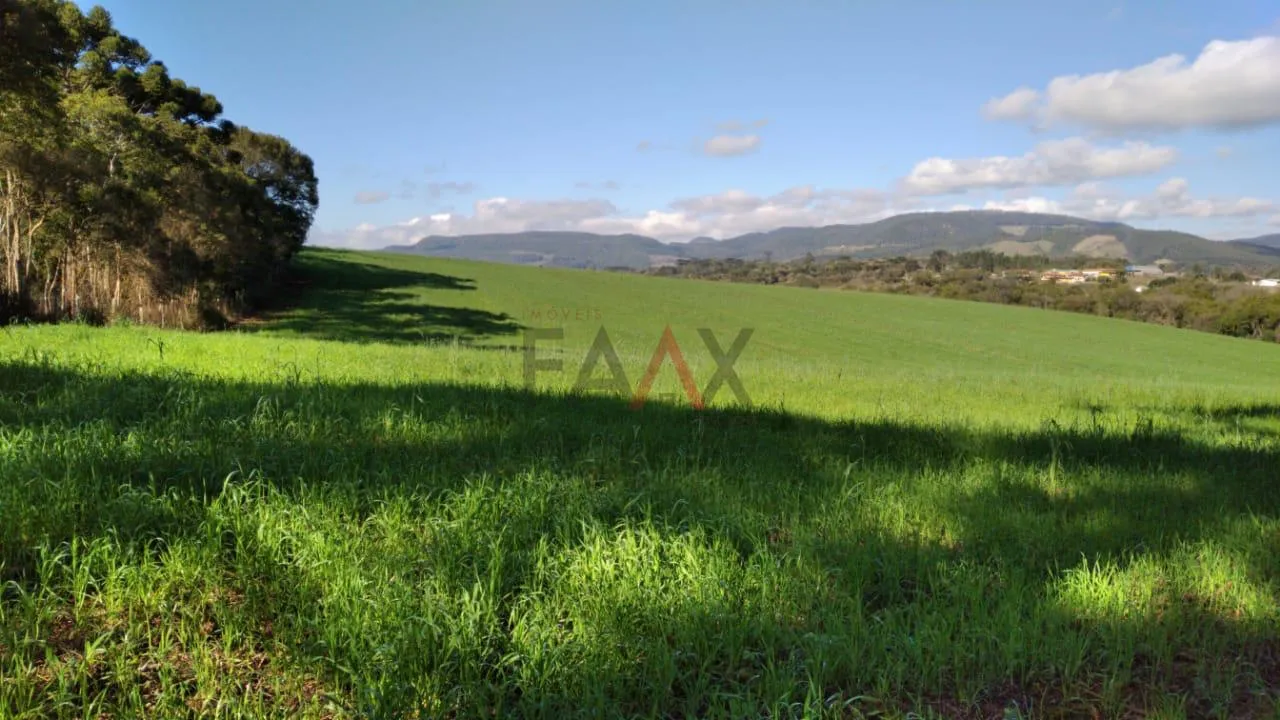 Imagem Chácara à venda, BR277 Prudentópolis, PRUDENTOPOLIS - PR