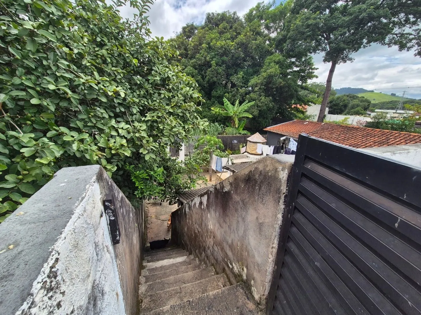 Imagem Casa Térrea na Região Central de Roseira com Espaço Comercial, Quintal Amplo, Piscina e Churrasqueira à Venda