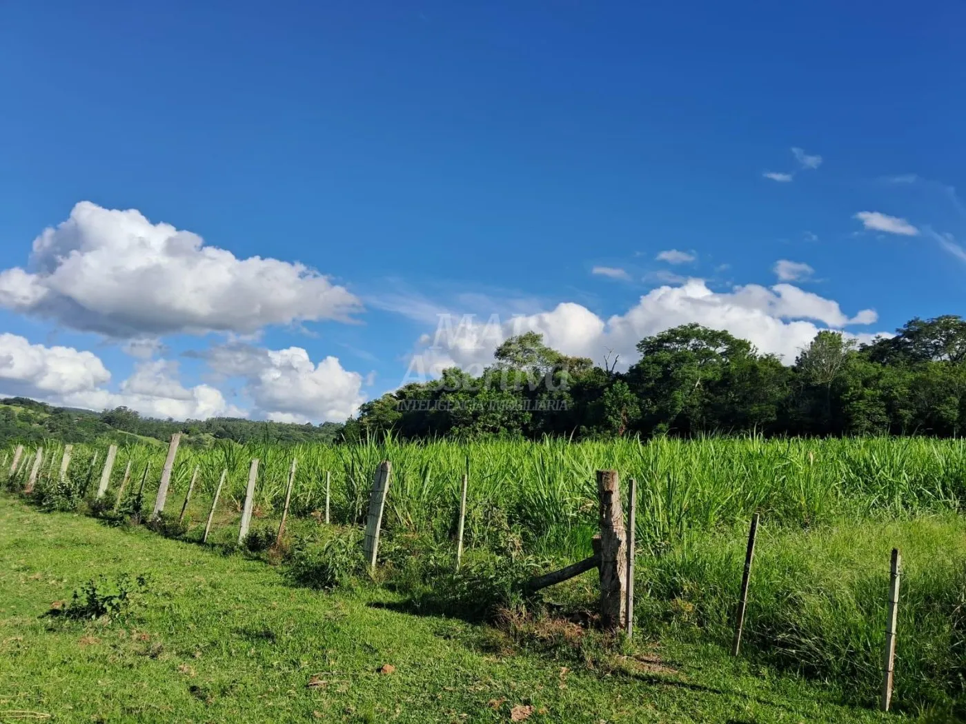 Imagem Área de Terras à venda, localizada em Taquara, ótima para plantação ou criação