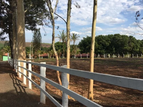 Imagem Haras - Fazenda Barra Seca