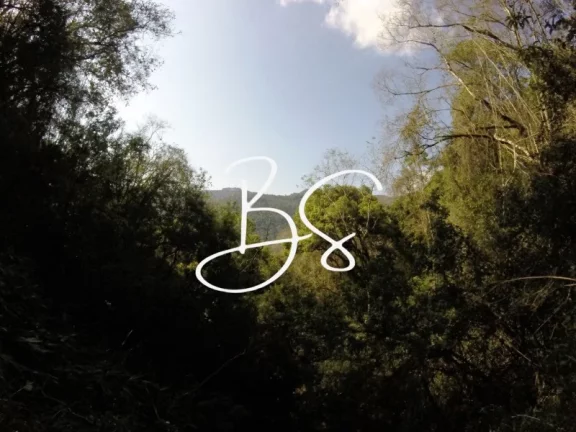 Imagem SITIO RURAL em NOVA PETRÓPOLIS - RS, Linha Pirajá Baixa