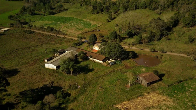 Imagem Área Agrícola para Venda em Ipumirim, Centro