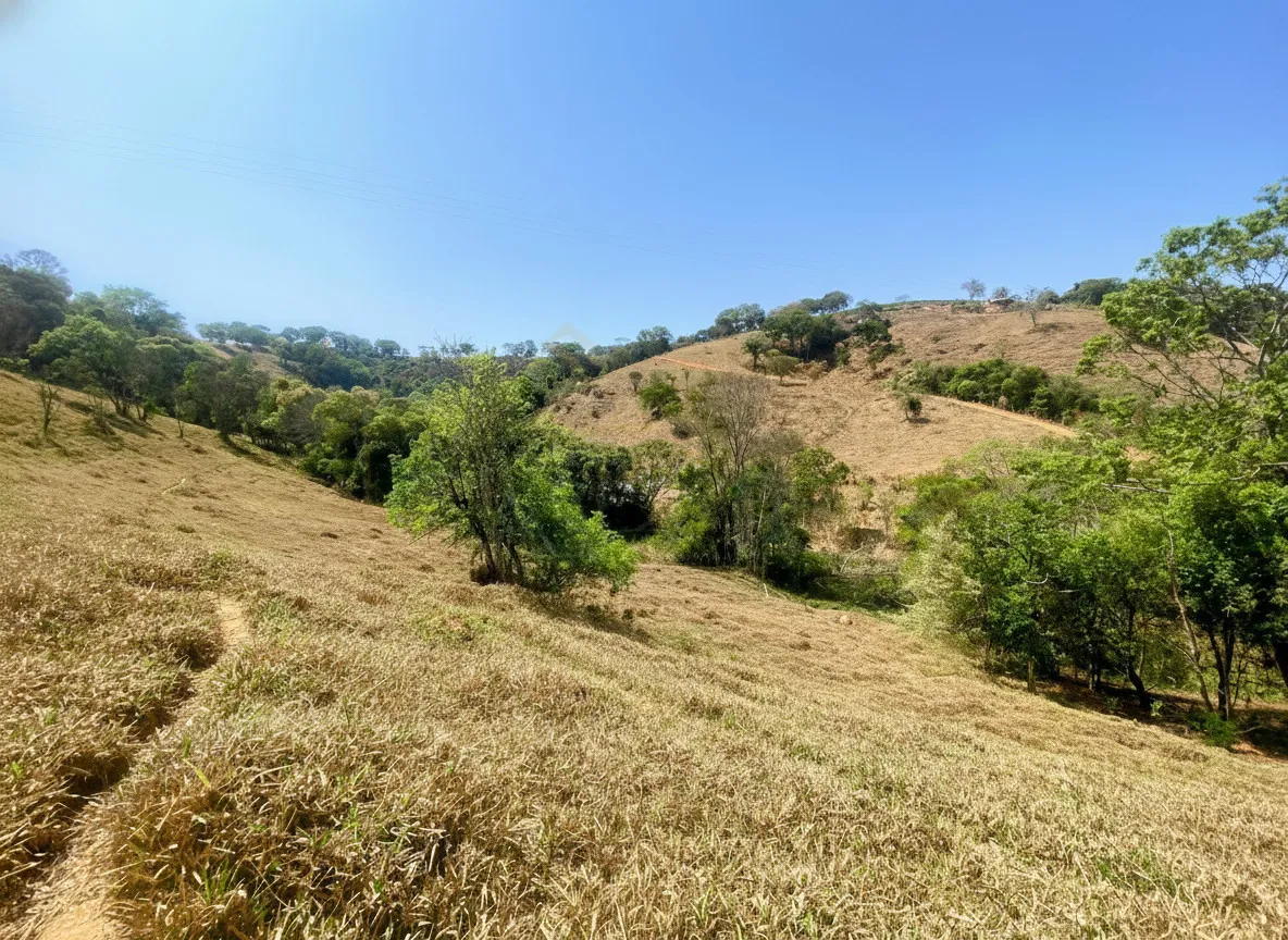 Imagem Sítio 2,42 ha à venda em Correias, Bandeira do Sul