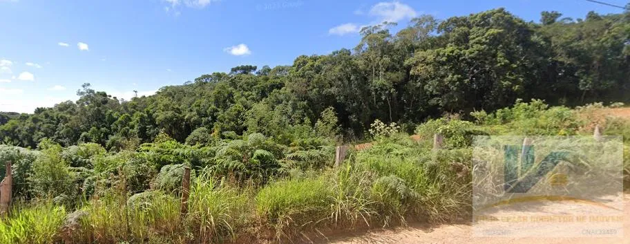 Imagem Terreno para Venda em São José dos Pinhais, Campestre da Faxina
