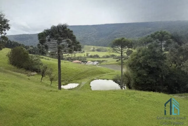 Imagem Sítio com açude, cachoeira, área verde e vista para a natureza, Serra Catarinense em Bom Retiro SC