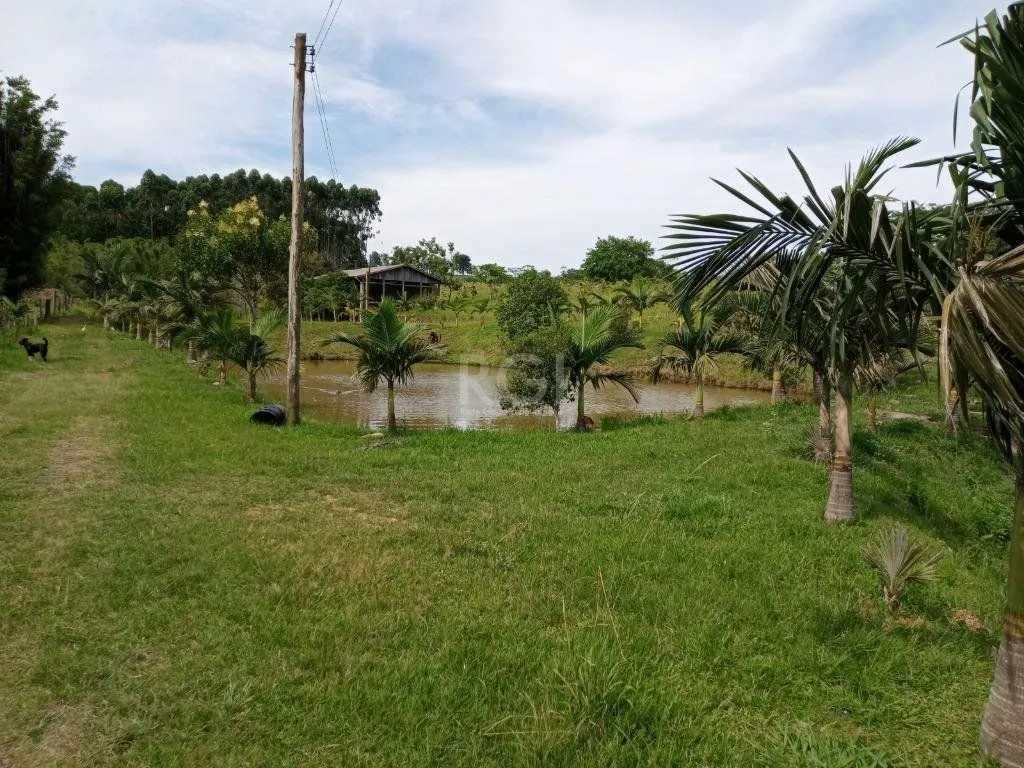 Imagem Boletto Imóveis vende Sitio na RS, Com 7 casas, 2 comerciais, excelente local para vários seguimento fácil acesso , rota para gramado, R$3.900,000,00