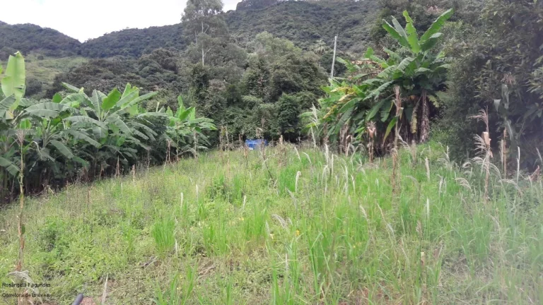 Imagem SITIO RURAL em CALDAS - MG, LARANJEIRAS DE CALDAS