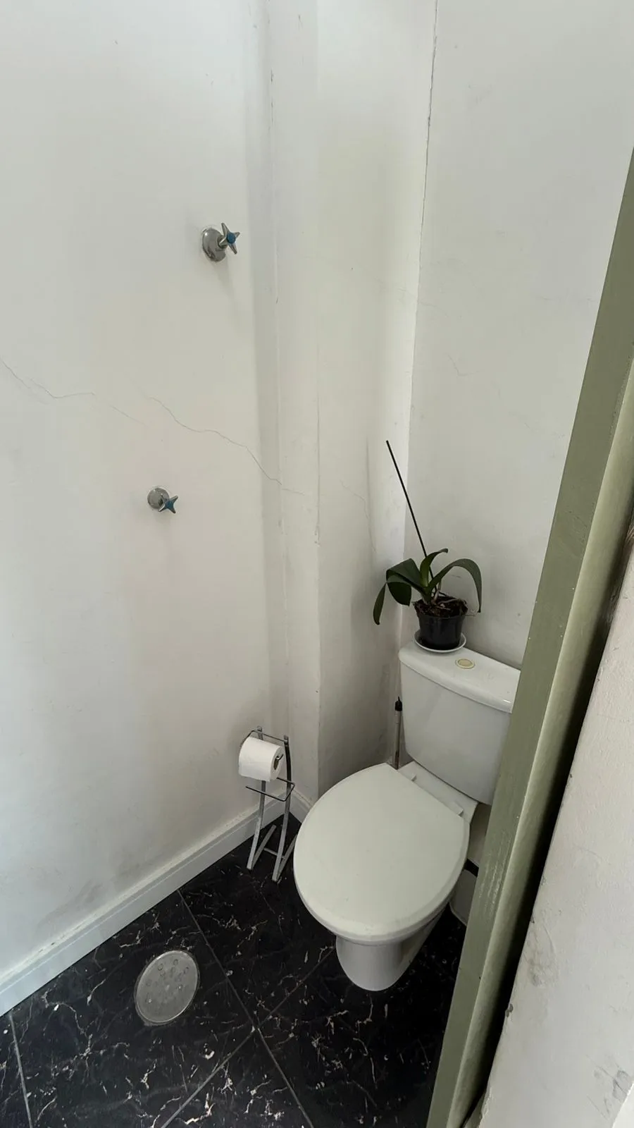 Imagem Excelente Oportunidade no Bairro Tristeza