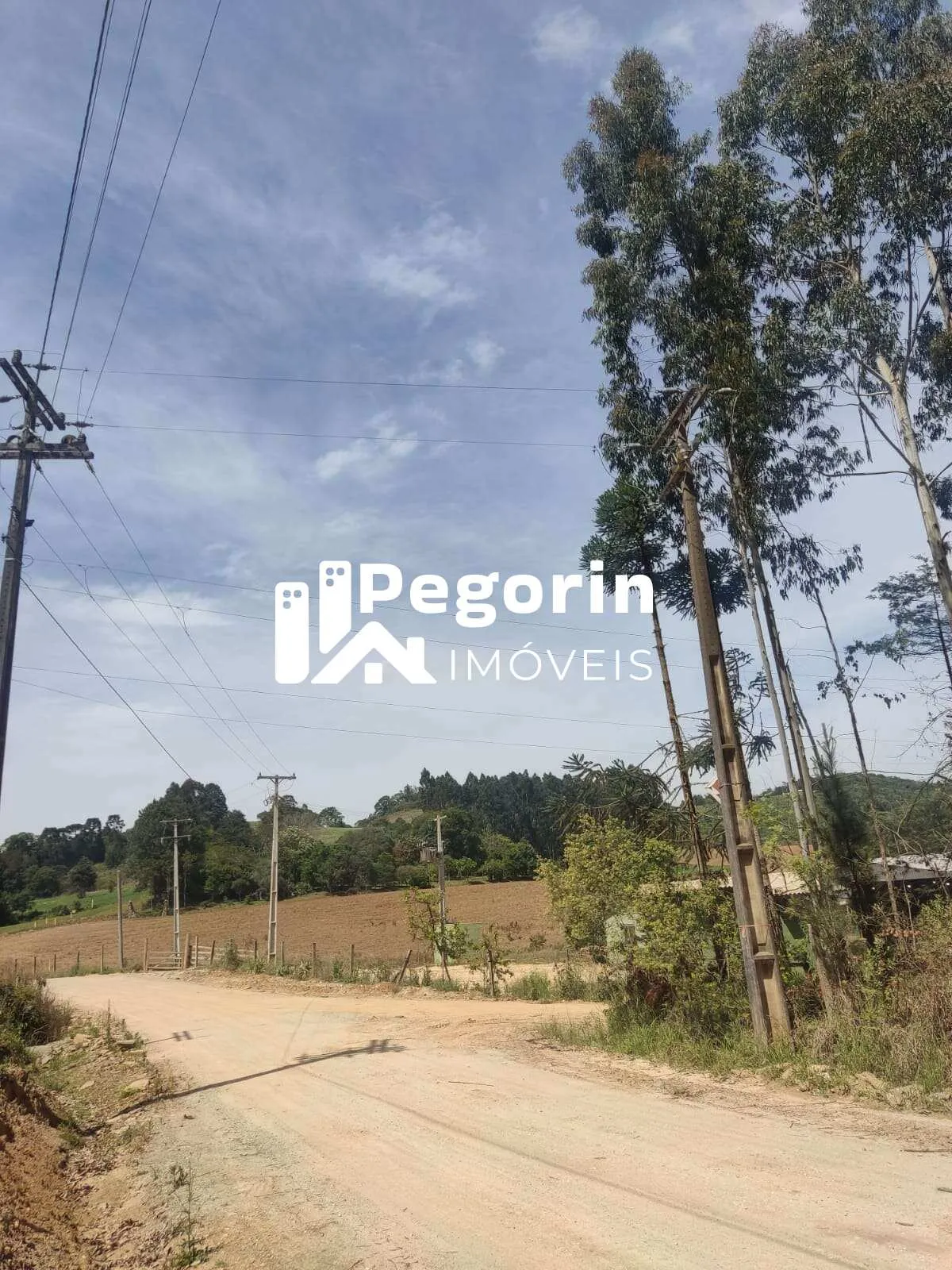 Imagem Chácara para Venda, Campo Magro / PR, bairro Hervalzinho, área total 24.397,00 m²