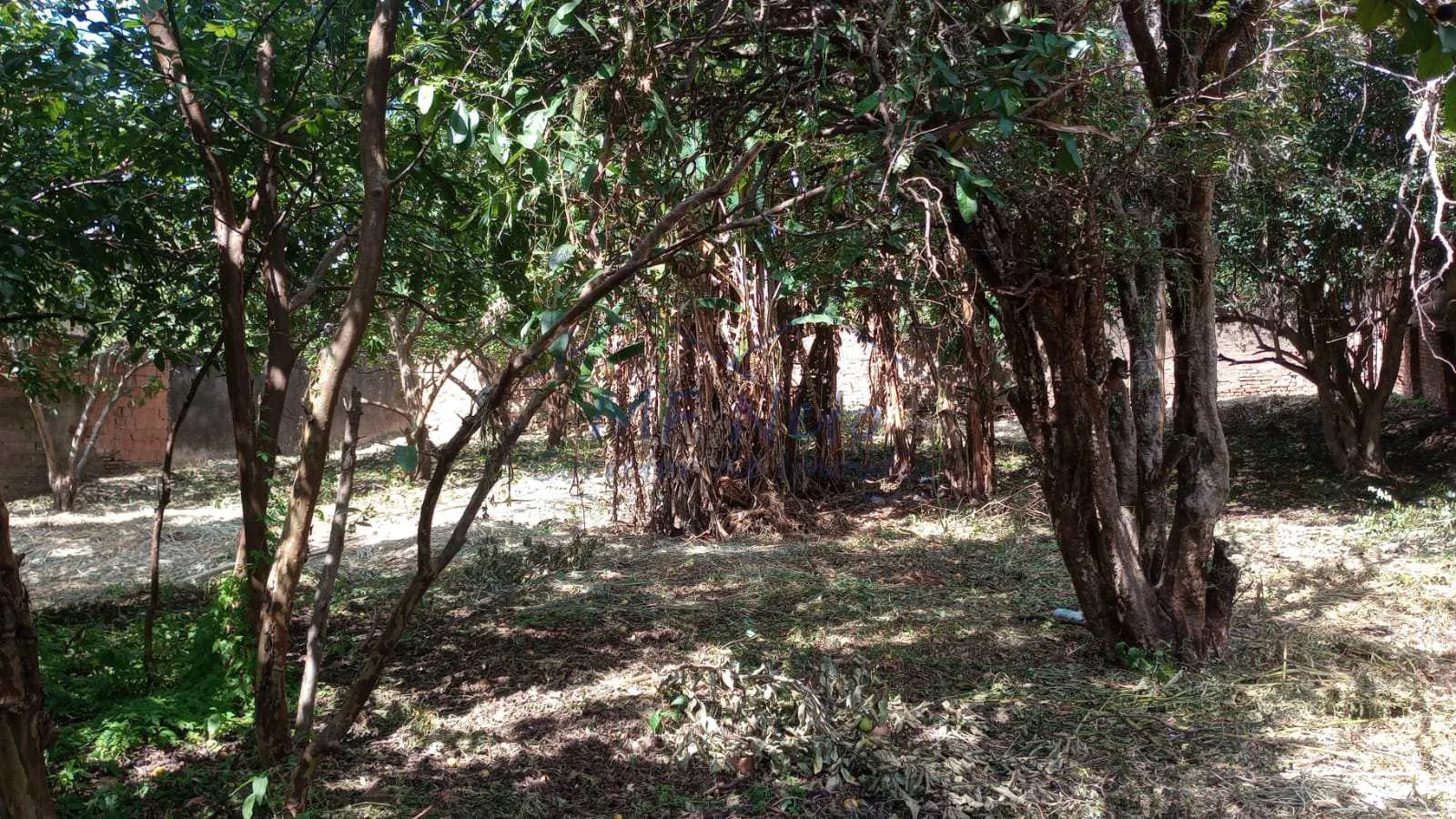 Imagem Terreno Padrão