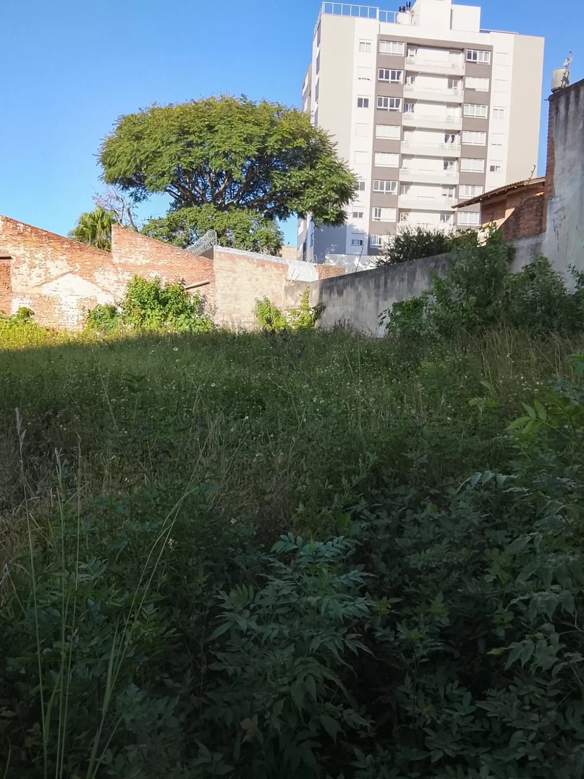Imagem 4 Terrenos residencial ou comercial, com tapume na frente, desinpedido sem muros intermediários total de 1.126,81 m²