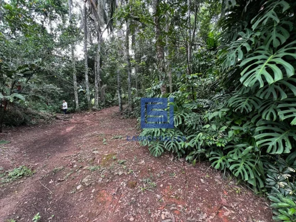 Imagem Chácara à venda, 9000 m² por R$ 600.000 - Lavras do Meio - Socorro/São Paulo