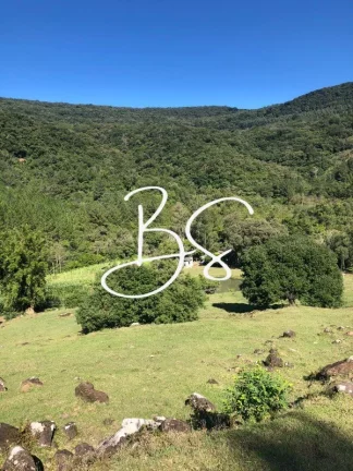 Imagem SITIO RURAL em SÃO FRANCISCO DE PAULA - RS, Padilha